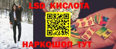 PSILOCYBIN Заводоуковск
