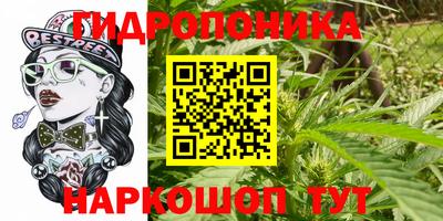 PSILOCYBIN Заводоуковск