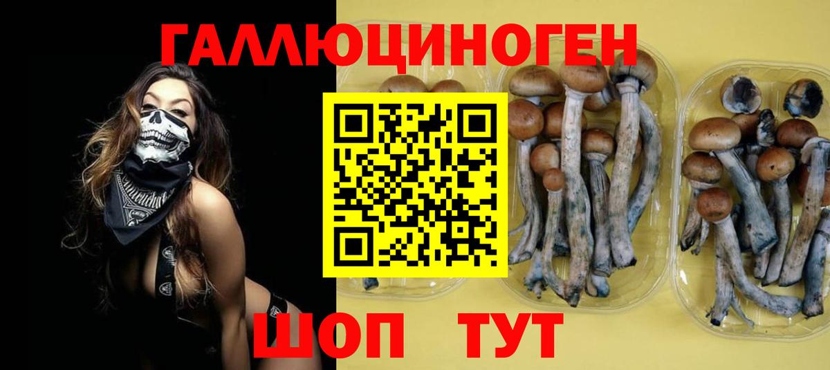 Псилоцибиновые грибы Magic Shrooms Ливны